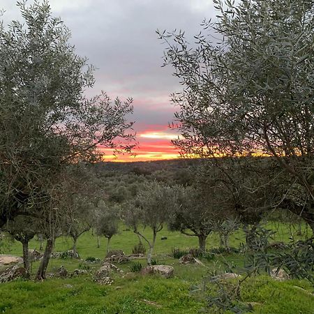 Appartamento Casa 1-Quinta Dos Penedos Portalegre Esterno foto