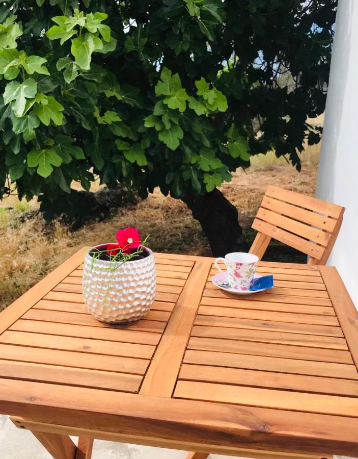 Appartamento Casa 1-Quinta Dos Penedos Portalegre Esterno foto