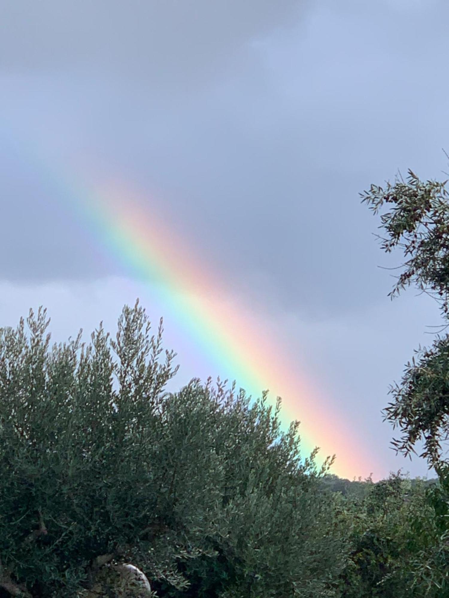 Appartamento Casa 1-Quinta Dos Penedos Portalegre Esterno foto