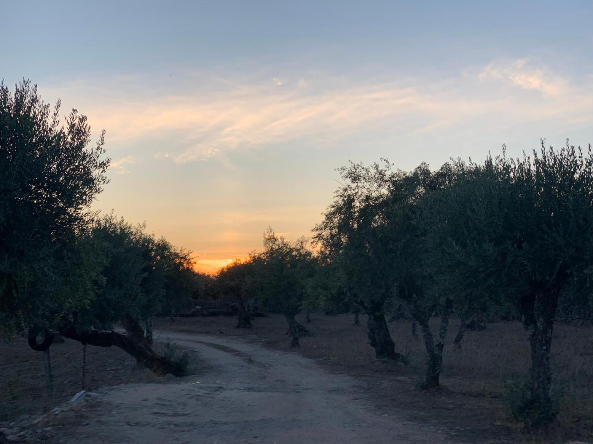 Appartamento Casa 1-Quinta Dos Penedos Portalegre Esterno foto