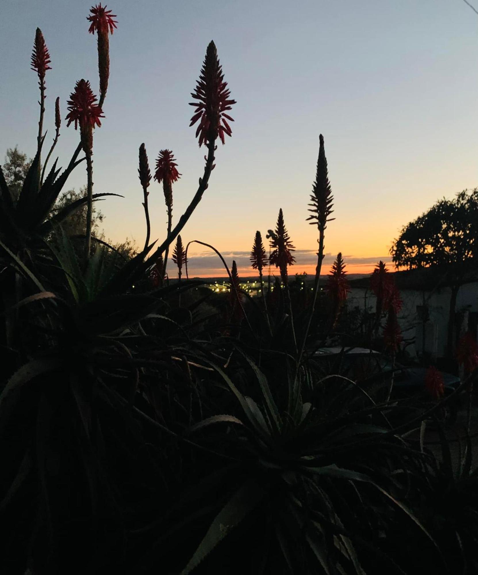 Appartamento Casa 1-Quinta Dos Penedos Portalegre Esterno foto