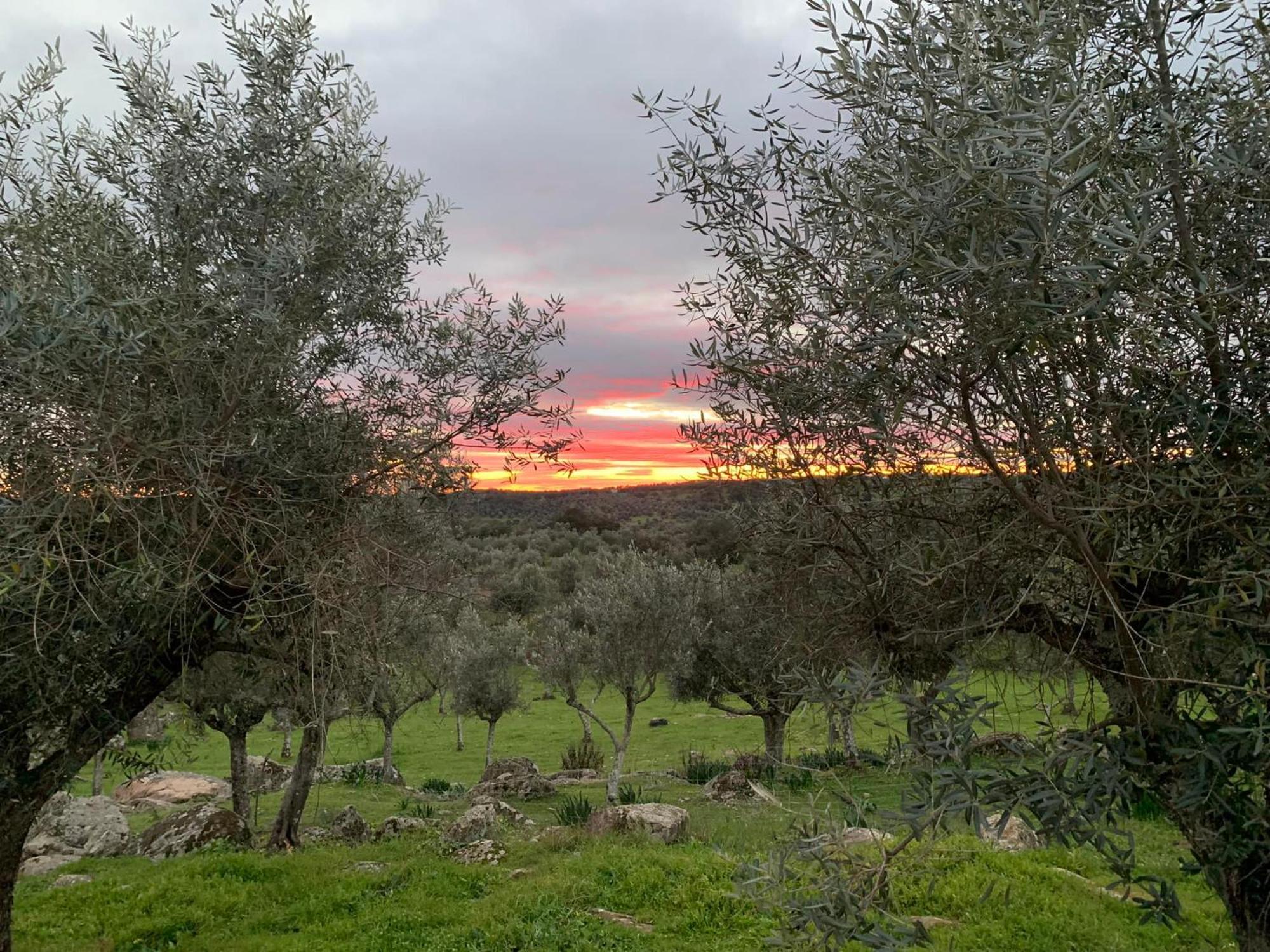 Appartamento Casa 1-Quinta Dos Penedos Portalegre Esterno foto