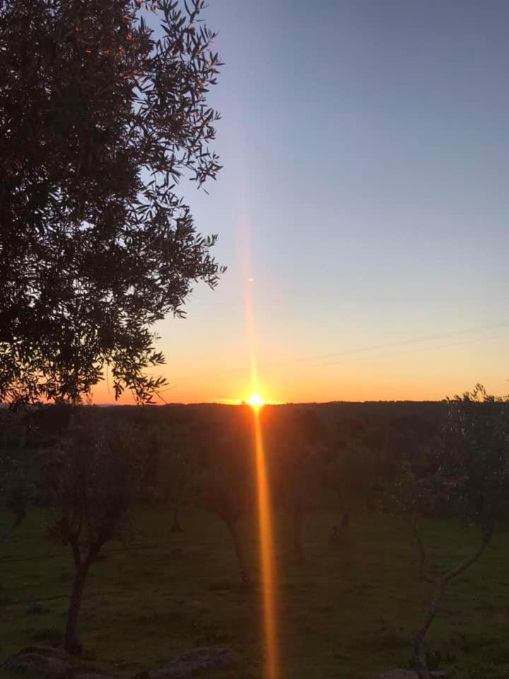 Appartamento Casa 1-Quinta Dos Penedos Portalegre Esterno foto