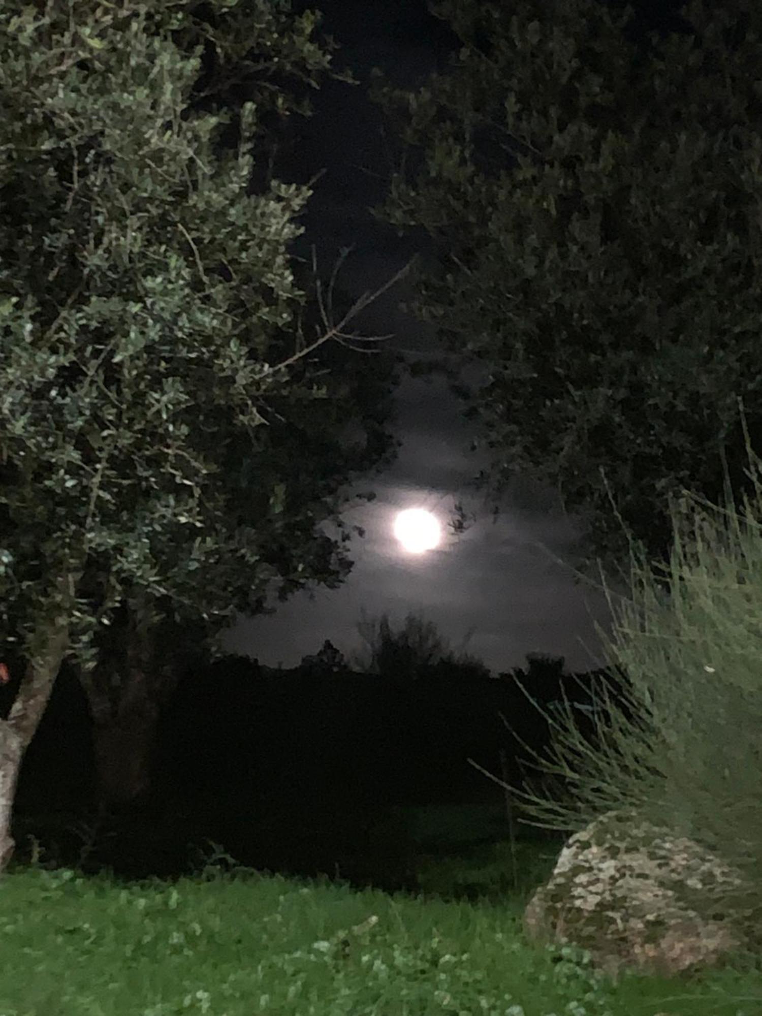 Appartamento Casa 1-Quinta Dos Penedos Portalegre Esterno foto